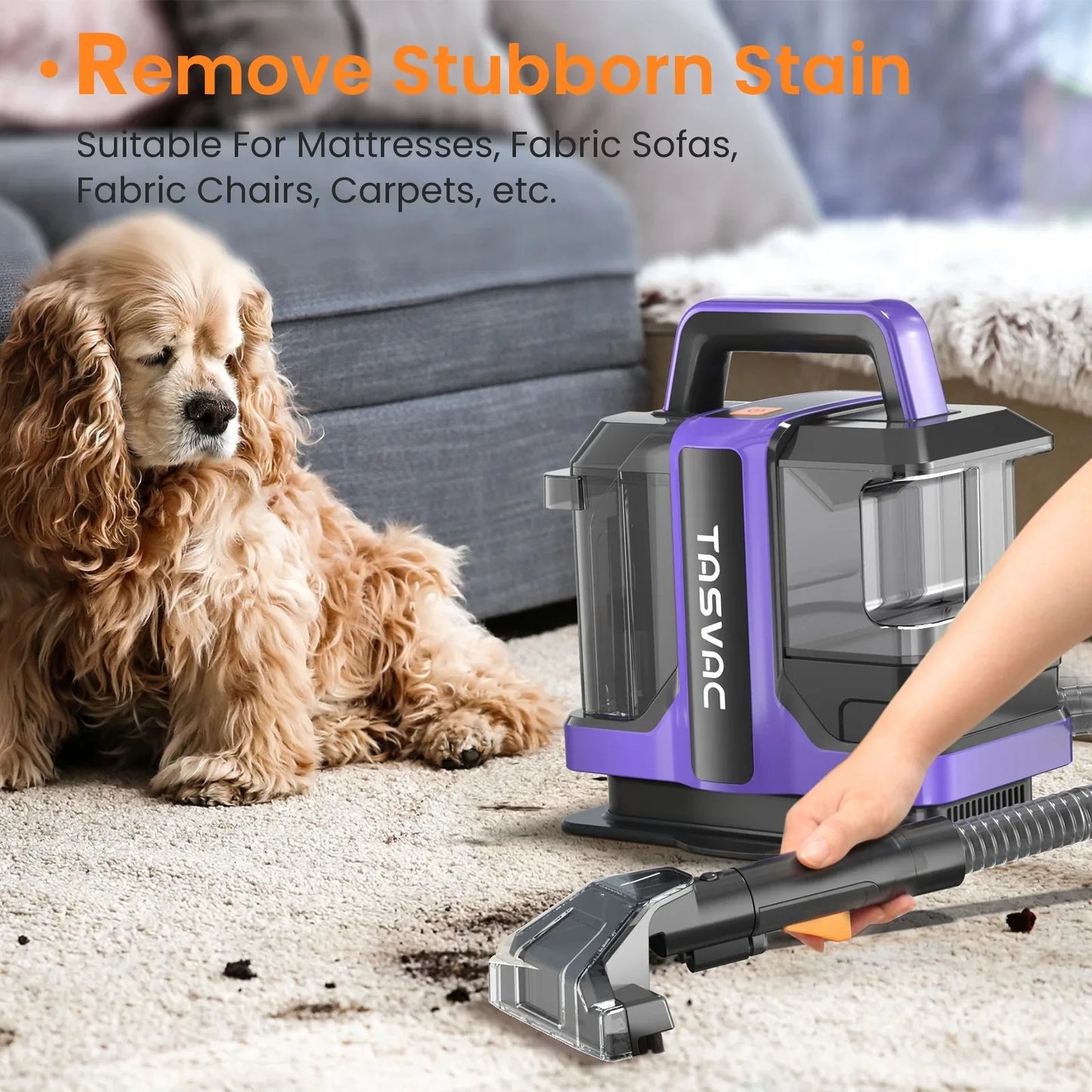 Handheld Carpet Cleaner 15Kpa 450W Motor Upholstery Vacuum Cleaner Spot And Stain Deep Cleaner for Pet Stairs Car Seat